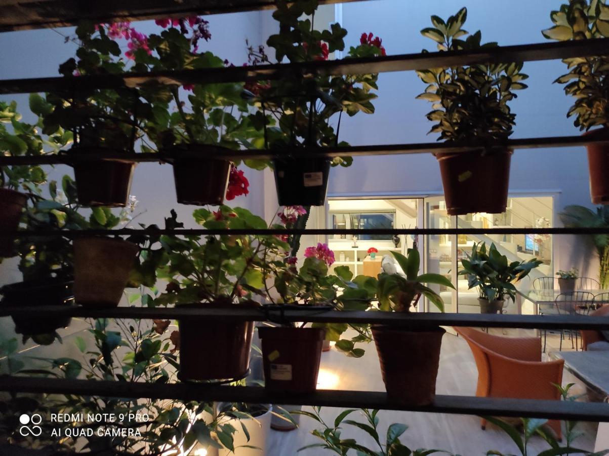 Habitacion Y Bano En Planta Independiente En Centro De Sevilla المظهر الخارجي الصورة